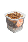Chocolate chia seeds pudding
