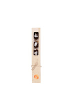 Coconut chocolate bites